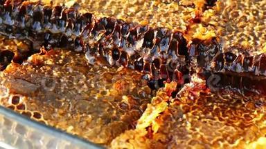 天然蜂窝蜂蜜，特写天然蜂窝蜂蜜，在玻璃碗蜂窝蜜，蜂窝为早餐，